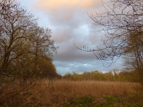 La vallée de l'Ysieux (Luzarches)